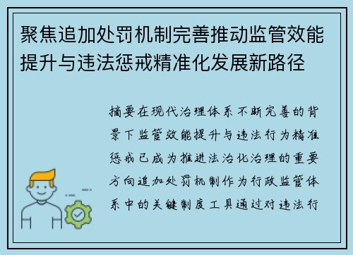 聚焦追加处罚机制完善推动监管效能提升与违法惩戒精准化发展新路径